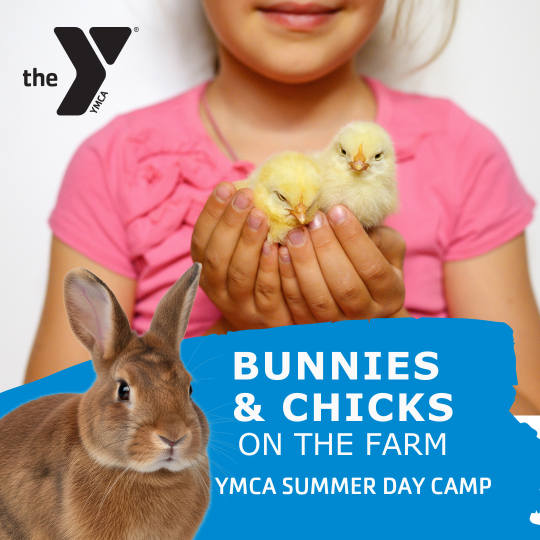 FARM BUNNIES & Chicks